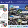 reef-sign-picture.png