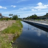 laie-wetland-001.jpg