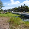 laie-wetland-007.jpg