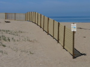 sand-fence-kaonoulu-river-011