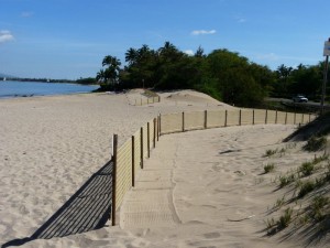 sand-fence-kaonoulu-river-019