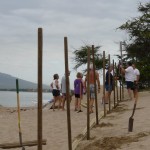 sand-fencing-project-with-maui-canoe-club-006 sand-fencing-project-with-maui-canoe-club-006