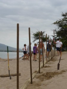 sand-fencing-project-with-maui-canoe-club-006
