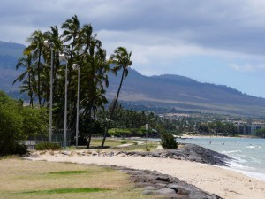 kalama-park-trail-018