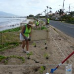 maui-lu-planting-day-001