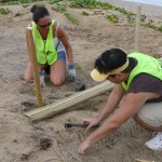 maui-lu-planting-day-003