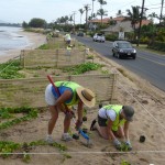 maui-lu-planting-day-007