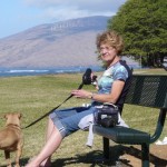 kalama-park-bench-project-005 kalama-park-bench-project-005