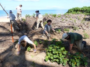 cwd-volunteers-workday-k-1-017