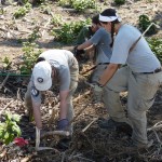 cwd-volunteers-workday-k-1-022