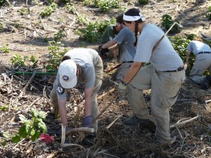 cwd-volunteers-workday-k-1-022