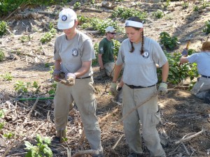 cwd-volunteers-workday-k-1-023