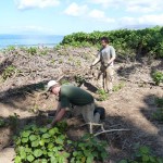 cwd-volunteers-workday-k-1-025