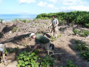 cwd-volunteers-workday-k-1-025