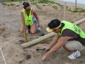 maui-lu-planting-day-003